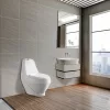 WC misa Coral Monobloc s mäkkým zatváraním sedadla a spodným splachovaním