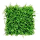 Nástenný panel Grass Plant