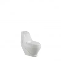 WC misa Leziter