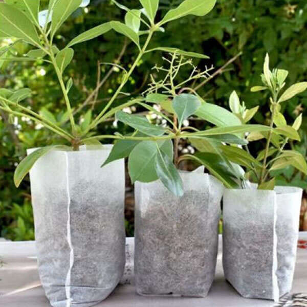 Vrecká Lookgrow na sadenice